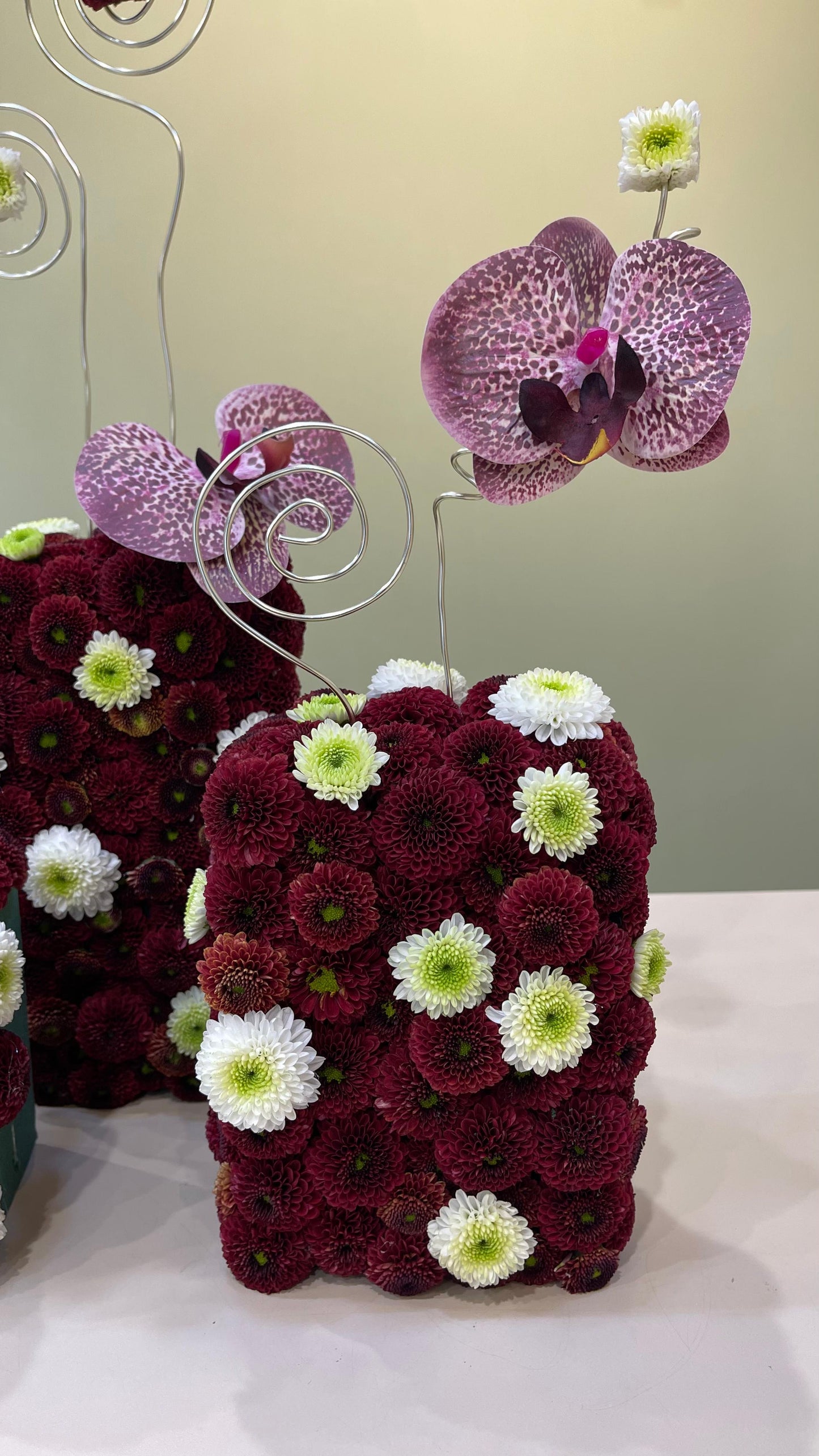 Winter Trio Collection