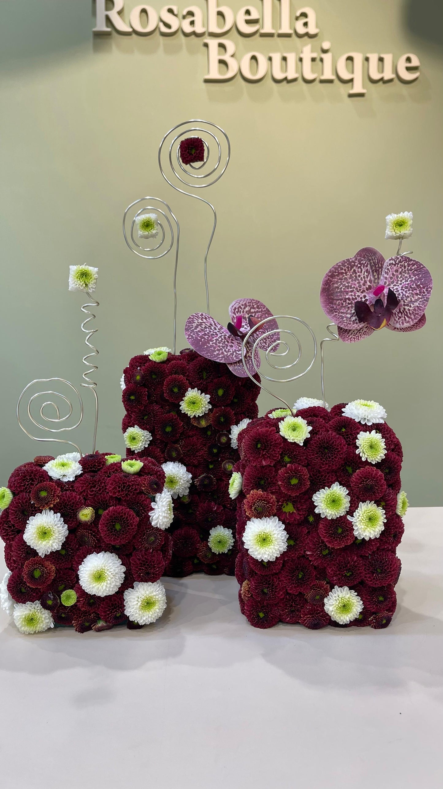 Winter Trio Collection